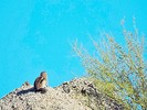 photo thumbnail #8