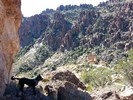 photo thumbnail #4