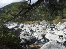photo thumbnail #11