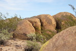 photo thumbnail #2