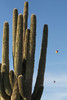 photo thumbnail #9