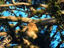 photo thumbnail #15