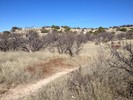 photo thumbnail #12