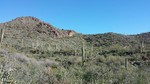 photo thumbnail #5