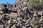 photo thumbnail #6