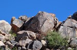 photo thumbnail #12