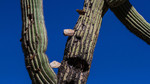 photo thumbnail #12