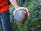 photo thumbnail #4