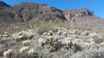 photo thumbnail #3