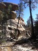 photo thumbnail #5