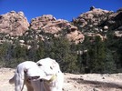 photo thumbnail #9