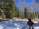 photo thumbnail #5