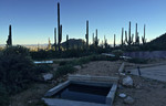 photo thumbnail #12