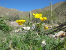photo thumbnail #2