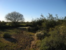photo thumbnail #3