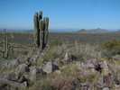 photo thumbnail #1
