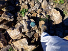photo thumbnail #14