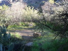 photo thumbnail #3