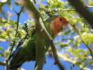 photo thumbnail #5