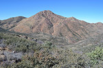photo thumbnail #4