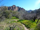 photo thumbnail #15