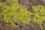 photo thumbnail #13