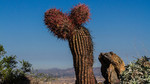 photo thumbnail #11