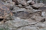 photo thumbnail #11