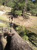 photo thumbnail #6