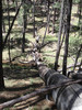 photo thumbnail #9