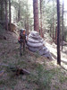 photo thumbnail #12