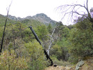 photo thumbnail #10
