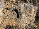 photo thumbnail #6