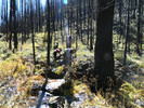photo thumbnail #9