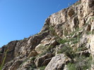 photo thumbnail #8