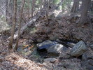 photo thumbnail #3