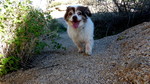 photo thumbnail #2