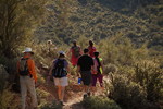 photo thumbnail #6