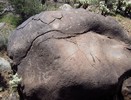 photo thumbnail #10