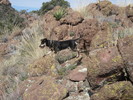 photo thumbnail #12