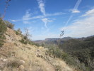 photo thumbnail #13