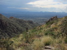 photo thumbnail #14