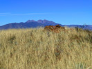 photo thumbnail #13