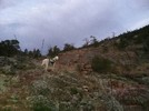 photo thumbnail #11