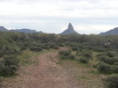 photo thumbnail #5