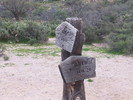 photo thumbnail #15
