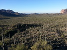 photo thumbnail #8