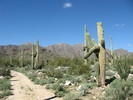 photo thumbnail #2