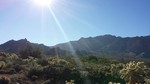 photo thumbnail #1
