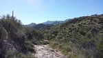 photo thumbnail #11